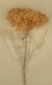 Hortensja stabilizowana 20-25cm