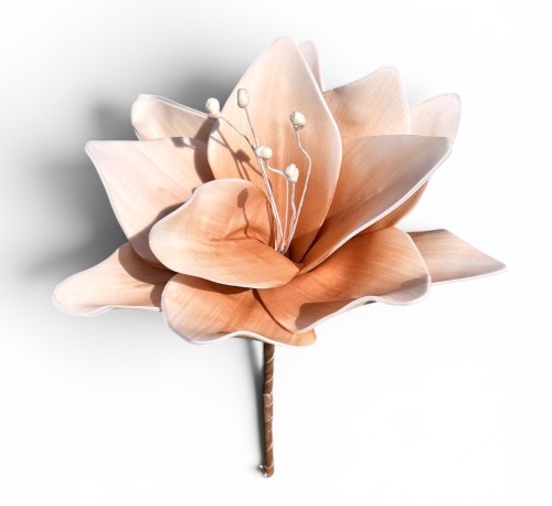 Lilia piankowa 15cm 