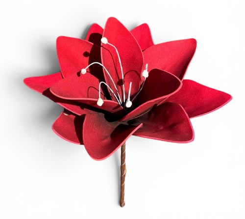 Lilia piankowa 15cm