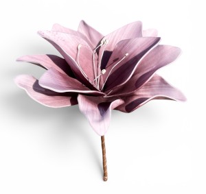Lilia piankowa 15cm