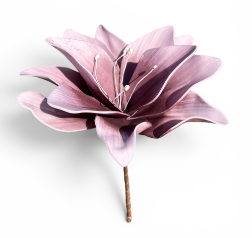 Lilia piankowa 15cm