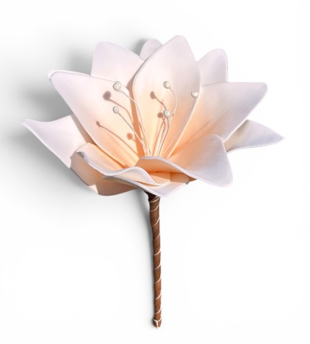 Lilia piankowa 15cm