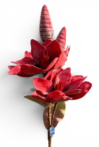 Magnolia piankowa gałązka 114cm 