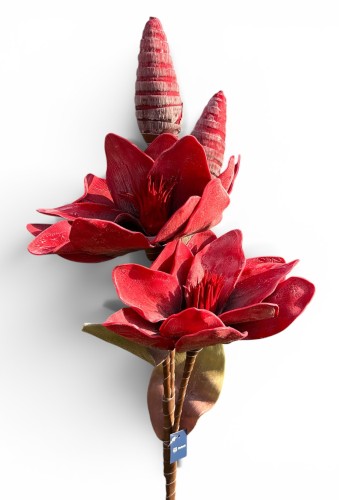 Magnolia piankowa gałązka 114cm 