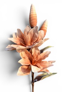 Magnolia piankowa gałązka 114cm