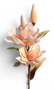 Magnolia piankowa gałązka 114cm
