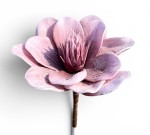 Magnolia wyrobowa piankowa 15cm
