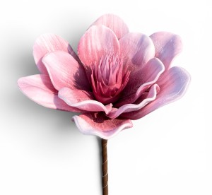 Magnolia wyrobowa piankowa 15cm