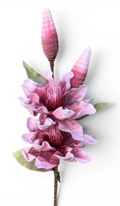 Magnolia piankowa gałązka 115 cm – dekoracja do wazonu