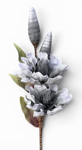 Magnolia piankowa gałązka 115cm