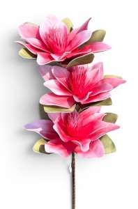 Magnolia piankowa gałązka dekoracyjna 35 cm