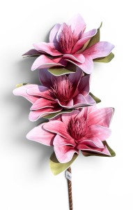Magnolia piankowa gałązka dekoracyjna 38 cm