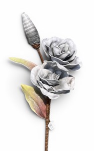 Magnolia piankowa gałązka 100cm 