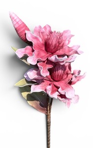 Magnolia piankowa gałązka 100cm 