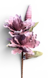 Magnolia piankowa gałązka 100cm 