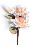 Magnolia piankowa gałązka 100cm 