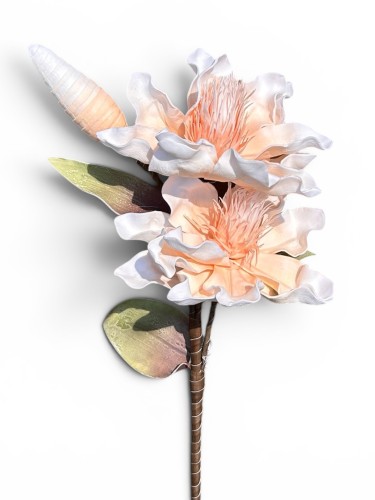 Magnolia piankowa gałązka 100cm 