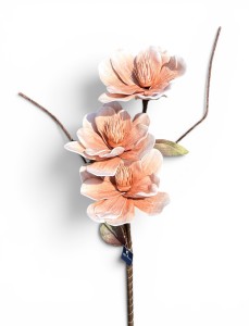 Magnolia piankowa gałązka 85cm