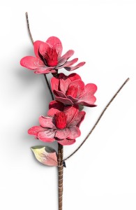 Magnolia piankowa gałązka 85cm