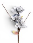 Magnolia piankowa gałązka 85cm