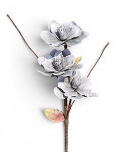 Magnolia piankowa gałązka 85cm