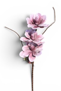 Magnolia piankowa gałązka 85cm