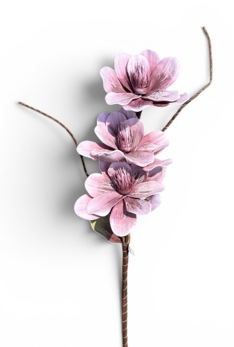 Magnolia piankowa gałązka 85cm
