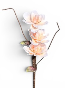 Magnolia piankowa gałązka 85cm