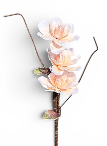 Magnolia piankowa gałązka 85cm