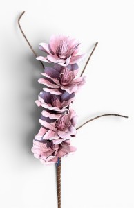 Magnolia piankowa gałązka 95cm