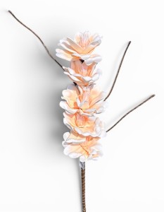 Magnolia piankowa gałązka 95cm