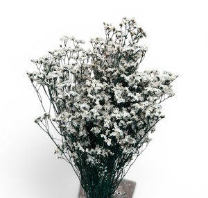 Limonium stabilizowane białe 120g - suszone kwiaty do dekoracji