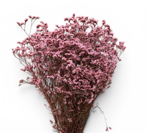 Limonium stabilizowane 120g fiolet