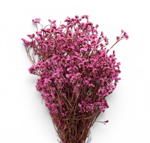 Limonium stabilizowane 120g różowy