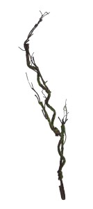 Korzeń ozdobny brązowy 130cm