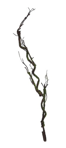 Korzeń ozdobny brązowy 130cm