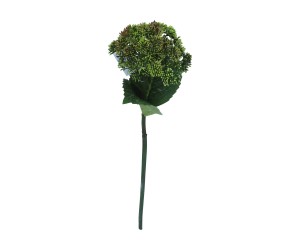 Gałązka czosnek 56cm