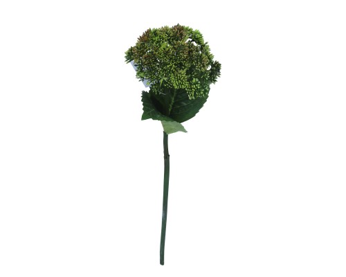 Gałązka czosnek 56cm
