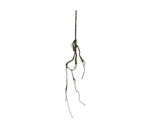 Dekoracyjne korzenie 115cm