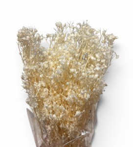Gipsówka stabilizowana biała 100g