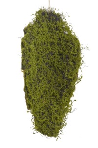 Kora z mchem 34x15x75cm