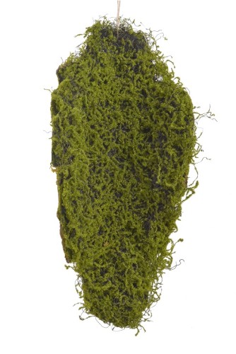Kora z mchem 34x15x75cm