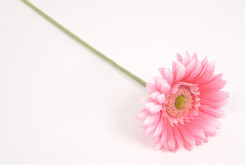 Gałązka gerbera 40cm