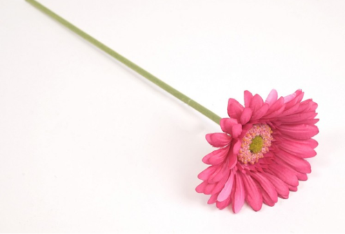 Gałązka gerbera 40cm