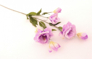 Gałązka eustoma 76cm