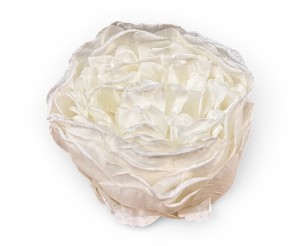 Piwonia wyrobowa 11cm