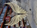 IMG_5187.jpeg
