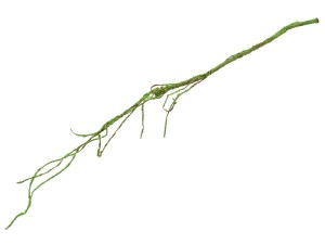 Gałąź ozdobna zielona 80cm