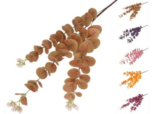 Gałązka eukaliptus mix