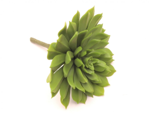 Sukulent 15x14cm